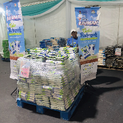 Government Program Delivery